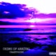 Crime of Arrival Single