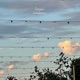 Santa Monica Sunset EP