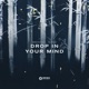 Drop In Your Mind Single