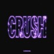 Crush Selena Faider Remix Single