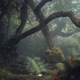 Echoes in the Woods Single