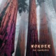 Wonder Single
