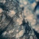 Docene Single