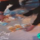 Chasing Dreams Single