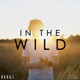 In the Wild Single