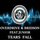 Tears Fall feat Junior Single