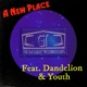 A New Place feat Dandelion Youth Radio Edit Single