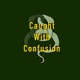 Caught with confusion Single