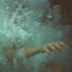 im running out of time with you Single