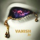 Vanish Official Audio Single