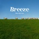 Breeze Single
