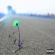 Make the Climb Single