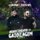 Aquecimento da Gaiolagem Remix feat Dennis DJ Single