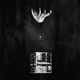 Falling Single