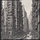 Concrete Jungle Symphony Single