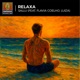 Relaxa feat Flavia Coelho Luiza Single