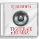 Tigueraje y Rumba Single