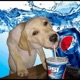 PEPSI feat Lazzlo1k Remix Single