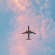 joint flight Single
