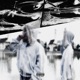 Black Out feat timiseni Chemik EP