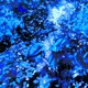 Entfernte EP