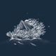 Sommersturm Single