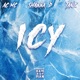 Icy feat MC Shabba D Tanz Damageman Single