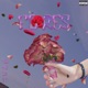 Flores Single