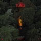 Old Flames