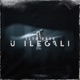 U ilegali Single