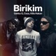 Birikim Single