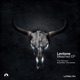 Now You Know 3runo Kaufmann Remix Single