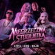 Niegrzeczna Studentka Single