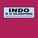 R U Sleeping Damian Wilson Darren Crook s Remix Single