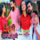 Ye Juli Gail Ba Jhuli Single