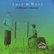 Subdivision Lessons Single