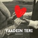 YAADEIN TERI Single