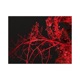 Taillights Single
