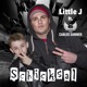 Schicksal feat Carlos Summer Single