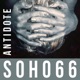 Soho66 Single