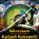 Sakrayaami Didgeridoo Trance Formations