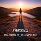 Shadows Single