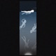 Spirit EP