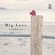 Big Love Single