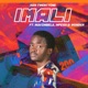 Imali feat Mavimbela Mpesh Wonder Single