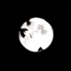 Moonlight Single