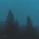 Immerse Single