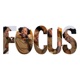 Focus Single