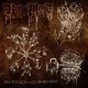 DUE DATE Rotted Meat Single