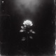 Afsurda Single